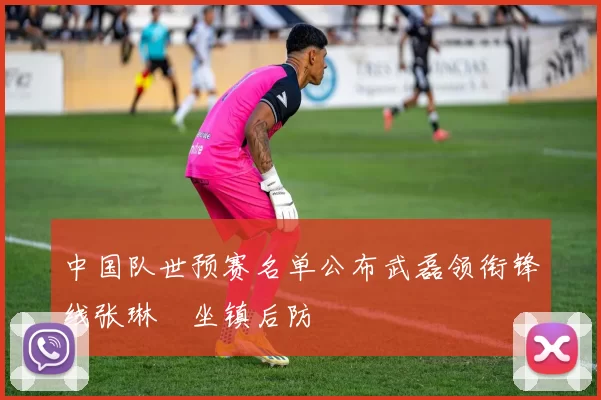 中国队世预赛名单公布武磊领衔锋线张琳芃坐镇后防