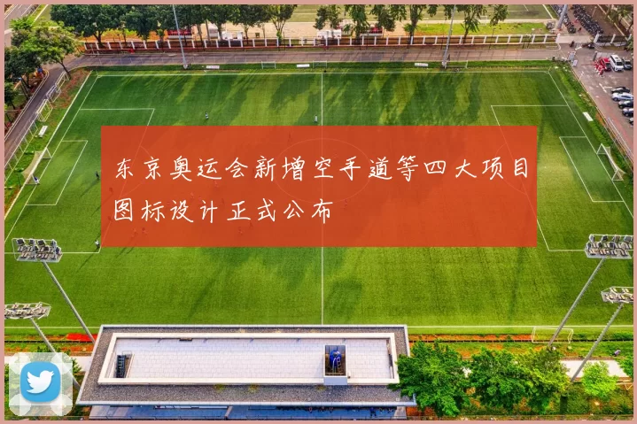 东京奥运会新增空手道等四大项目图标设计正式公布