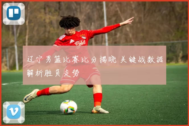 辽宁男篮比赛比分揭晓 关键战数据解析胜负走势