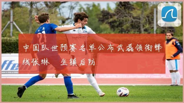中国队世预赛名单公布武磊领衔锋线张琳芃坐镇后防