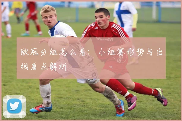 欧冠分组怎么看:小组赛形势与出线看点解析