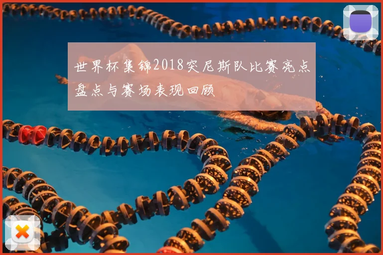 世界杯集锦2018突尼斯队比赛亮点盘点与赛场表现回顾