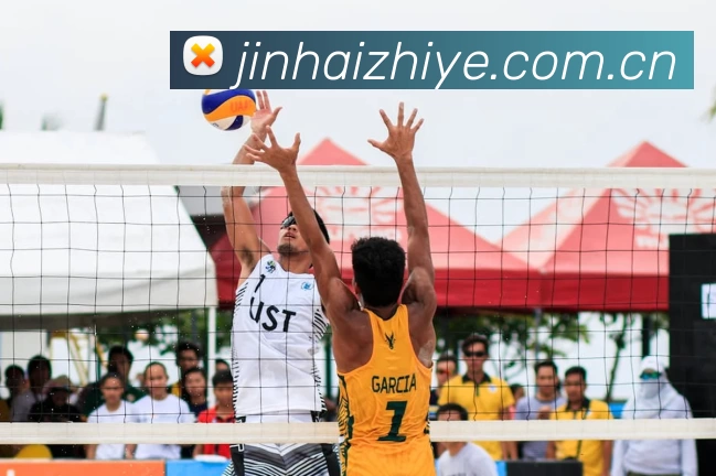 爱游戏(ayx)中国官方网站 - 登录入口服务体系